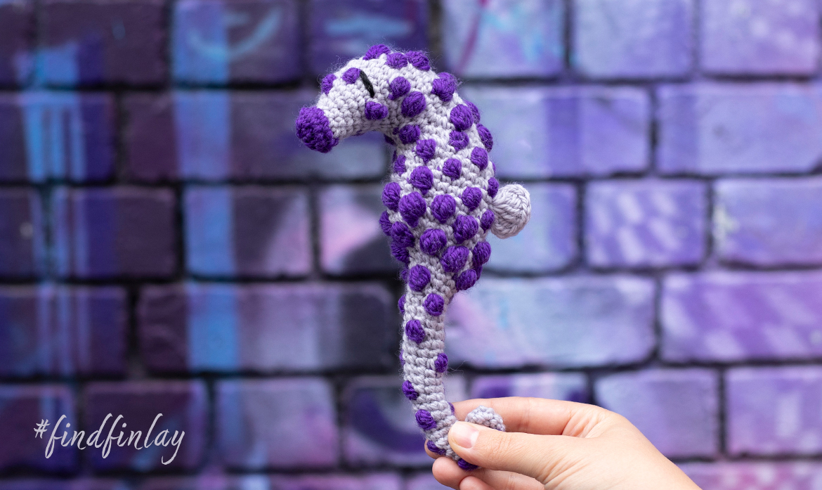 summer competition pygmy seahorse join photography win goody bags amethyst